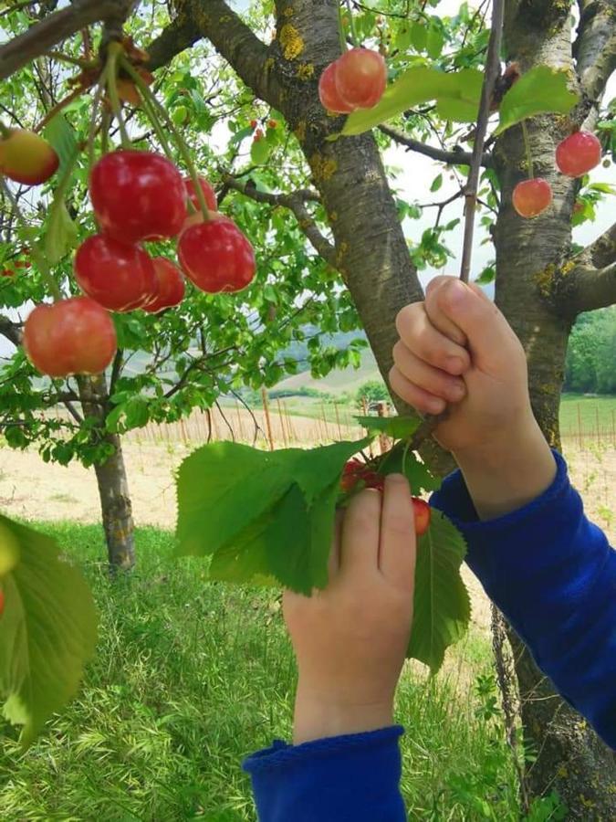 Cascina Valtignosa Camere Con Vigna Кассине Экстерьер фото