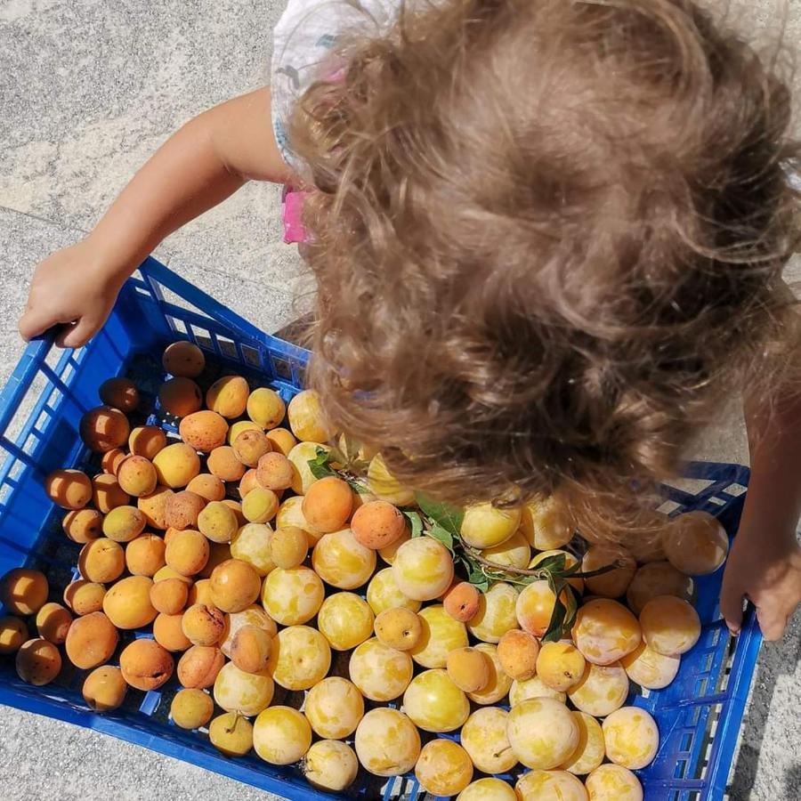 Cascina Valtignosa Camere Con Vigna Кассине Экстерьер фото