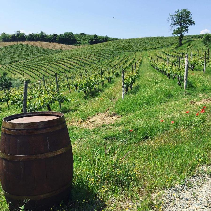 Cascina Valtignosa Camere Con Vigna Кассине Экстерьер фото