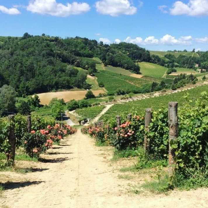 Cascina Valtignosa Camere Con Vigna Кассине Экстерьер фото