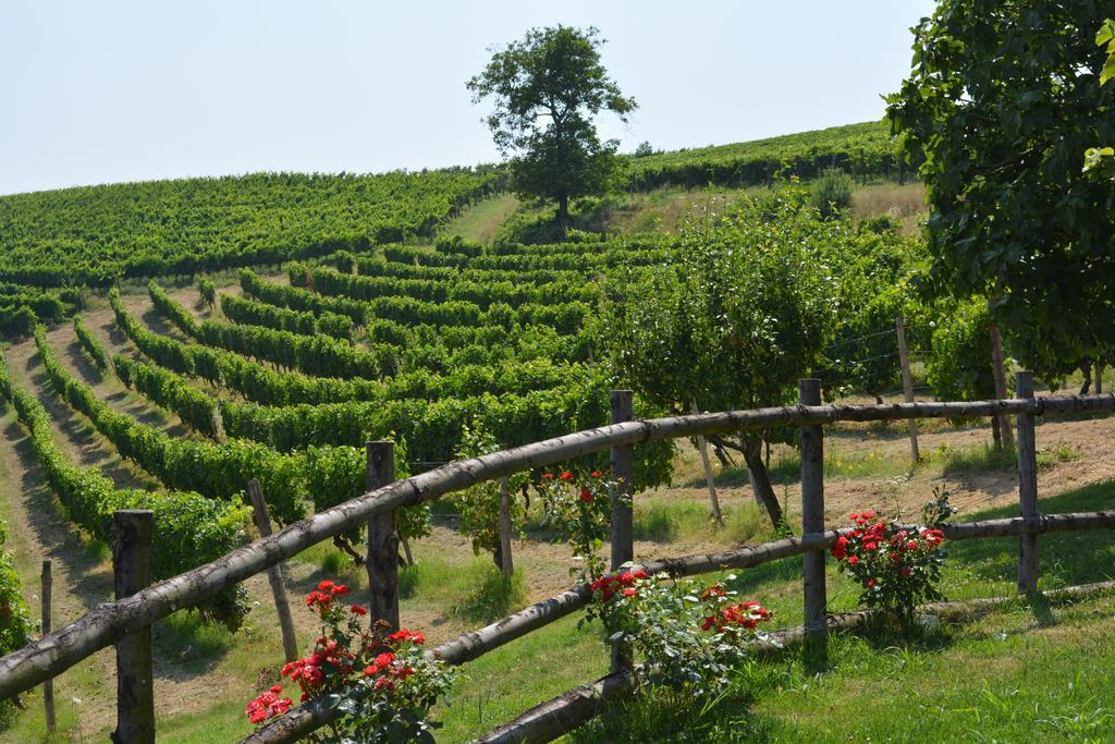Cascina Valtignosa Camere Con Vigna Кассине Экстерьер фото