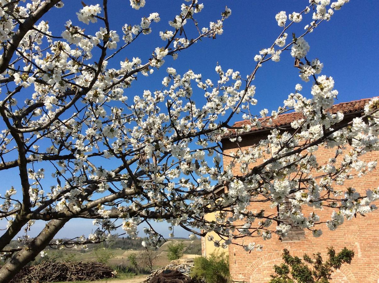 Cascina Valtignosa Camere Con Vigna Кассине Экстерьер фото