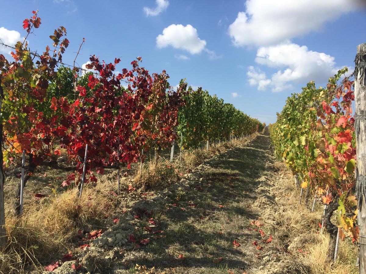 Cascina Valtignosa Camere Con Vigna Кассине Экстерьер фото
